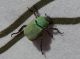 DSCN1720.JPG