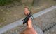 CI 27_06_2015 13_49_44.jpg