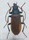 DSCF1853 a.jpg