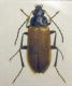 DSCF1856 a.jpg