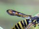 DSC_1615-2.jpg