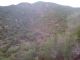 IMG_20150623_060508.jpg