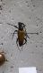 wp_ss_20150723_0001.jpg