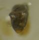 DSCN0396.JPG