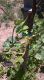 WP_20150627_007.jpg