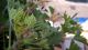 WP_20150725_14_56_05_Pro.jpg