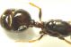 DSC09359.jpg