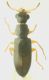 DSCN0431.JPG