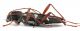 CombM1759_66zF5cr.jpg