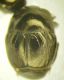 DSCN3212.JPG