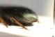 DSC09713.jpg