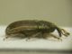 DSCN0544.JPG