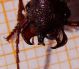 DSC00783.jpg