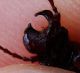 DSC00796.jpg