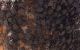 IMG_20150907_130021crop.jpg