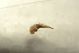 DSC00156.jpg