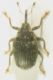 DSCN0717.JPG