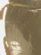 DSCN0732.JPG
