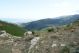 DSC09762.jpg