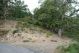 DSC00037.jpg