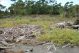 DSC09940.jpg