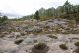 DSC09801.jpg