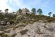 DSC09803.jpg