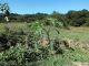 Formello_27-09-2015_Fu_004.JPG