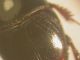 DSCN0740.JPG