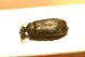 DSC00465.jpg