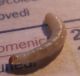 Larva non identificata 02.JPG