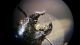 20151021_125042.jpg