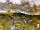 DSCN0951.JPG