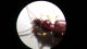 20151031_125254.jpg