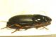 DSC00718.jpg