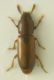 DSCN0904.JPG