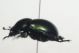 DSC00772.jpg