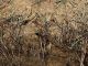 Campo_Felice_11-11-2015_L12_00015.JPG