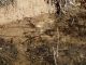 Campo_Felice_11-11-2015_L12_00020.JPG