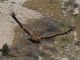 Campo_Felice_11-11-2015_L12_00057.JPG