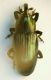 CurculioBaris 4mm.JPG