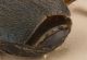 Brachinus-orlo membranoso apicale.jpg