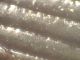 P_20151124_094623.jpg
