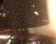 P_20151125_084050.jpg