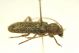 DSC01158.jpg