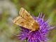 0020150811lathuile-298.jpg