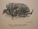 DSCN1033.JPG