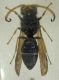 DSCF2156.JPG