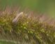 _MG_0540.jpg