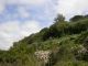 DSCN9155.JPG
